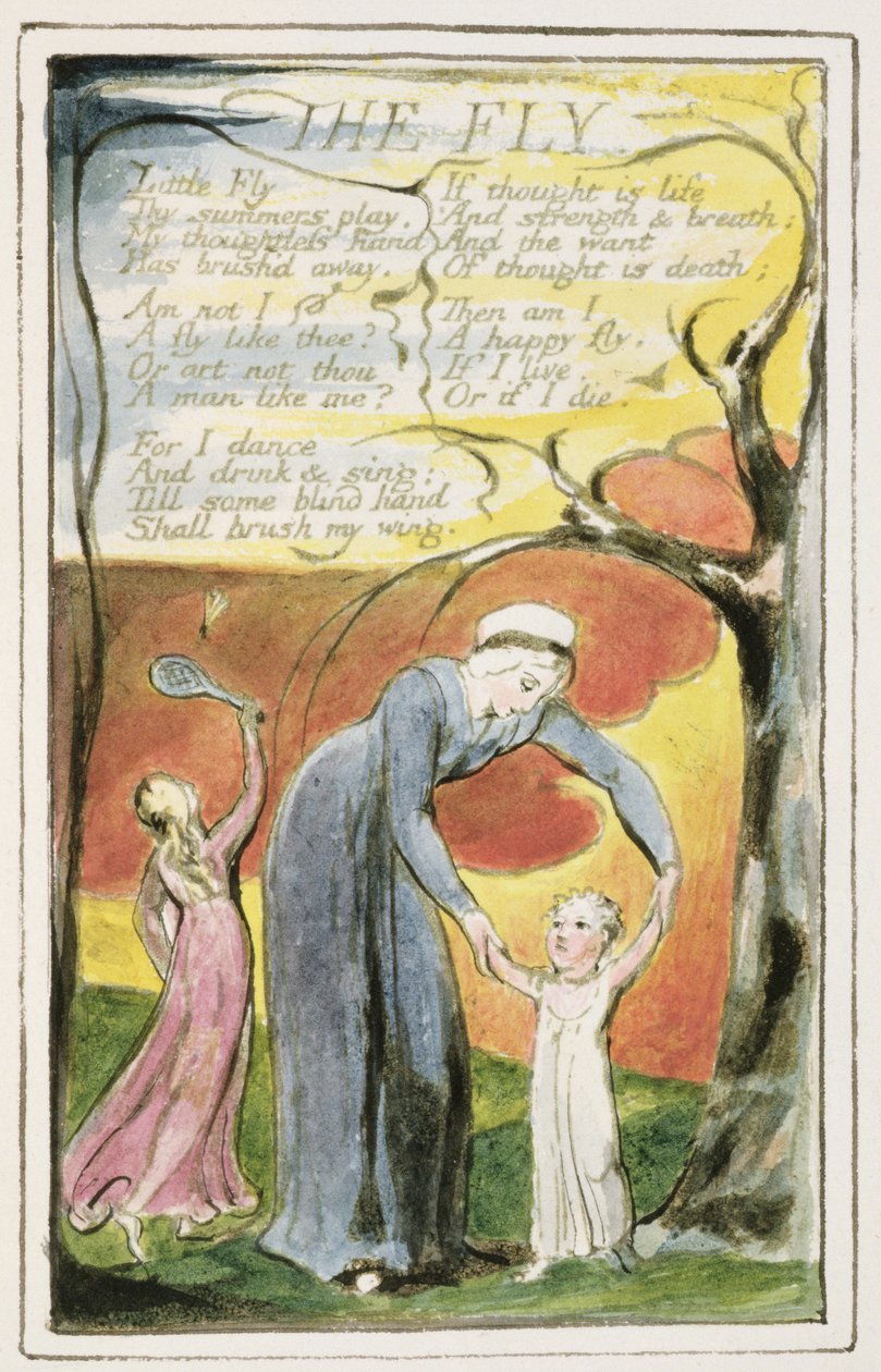 P.124-1950.pt41 The Fly: plate 41 fra 