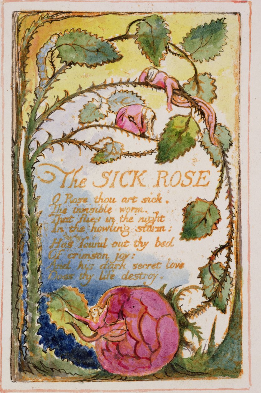 P.125-19503.pt39 The Sick Rose: plate 39 fra Songs of Innocence and of Experience (kopi AA) c.1815-26 (etsing, blekk og wc) av William Blake
