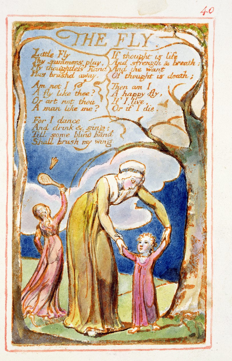 P.125-1950.pt40 The Fly: plate 40 fra Songs of Innocence and of Experience (kopi AA) c.1815-26 (etsing, blekk og wc) av William Blake
