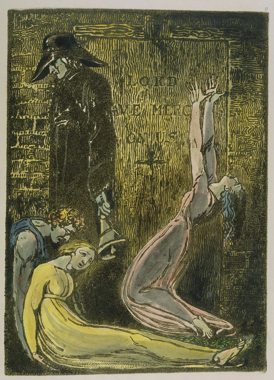 Plate 13 fra 