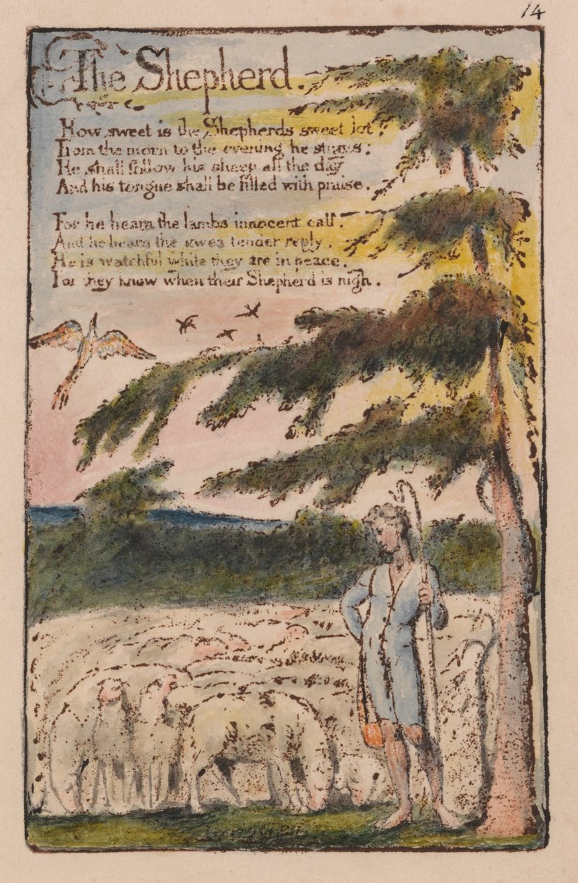 Songs of Innocence and of Experience, plate 14, The Shepherd (Bentley 5) av William Blake