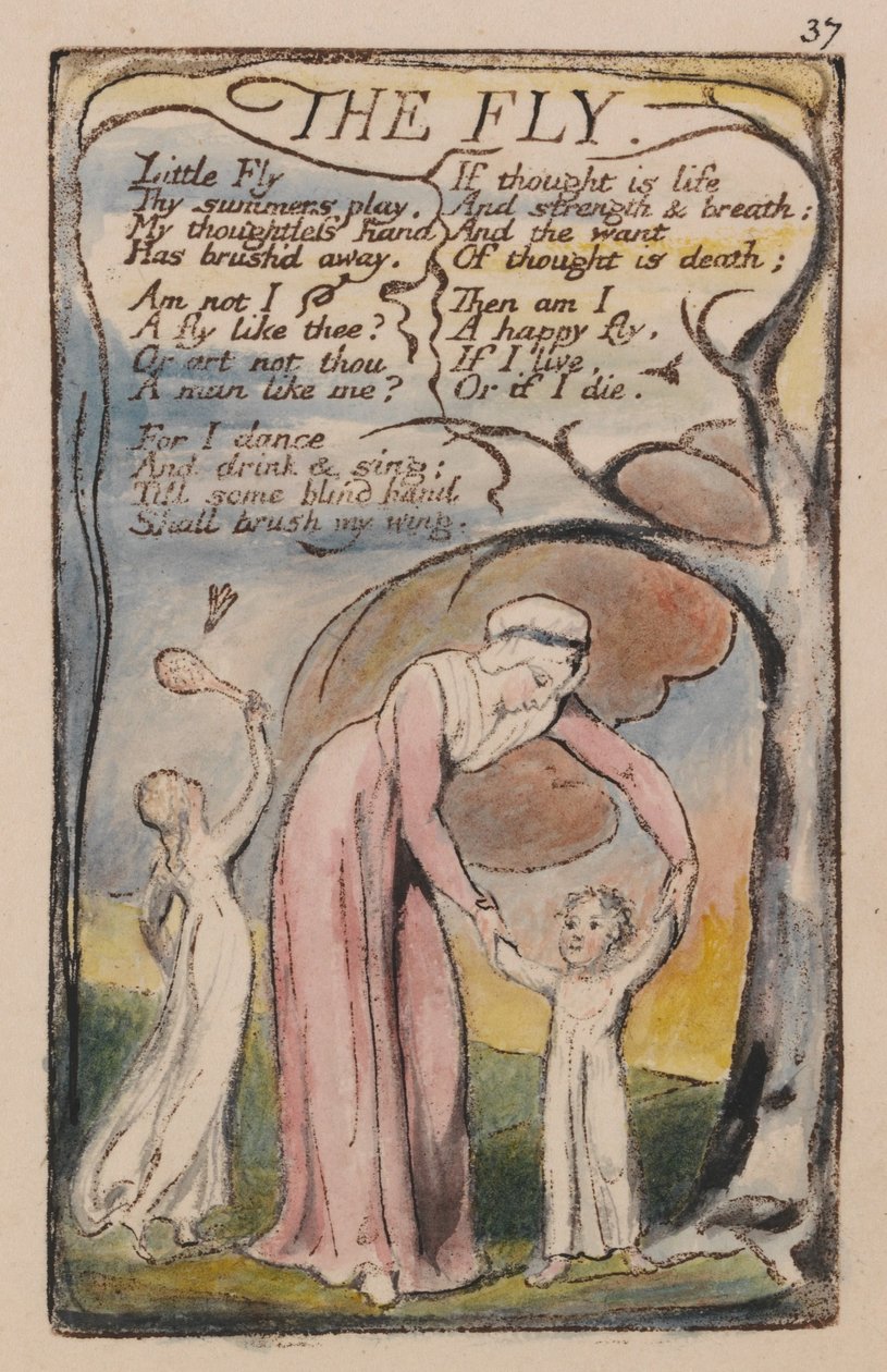 Songs of Innocence and of Experience, Plate 37, The Fly (Bentley 40) av William Blake