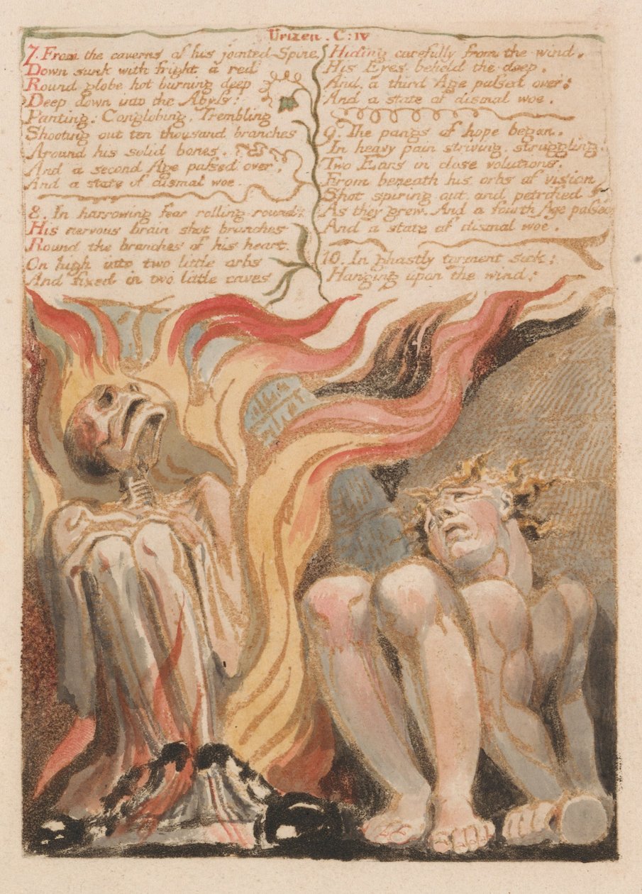 The First Book of Urizen, Plate 14, 7. From the Caverns of His Jointed Spine .... (Bentley 11) av William Blake