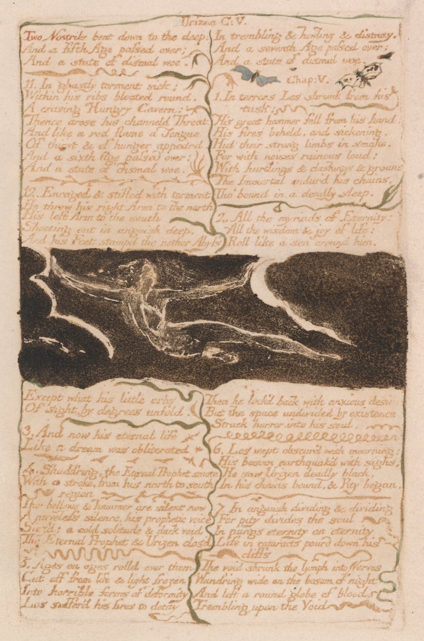 Den første boken til Urizen, plate 16, to nesebor bøyd ned i dypet ... (Bentley 13) av William Blake
