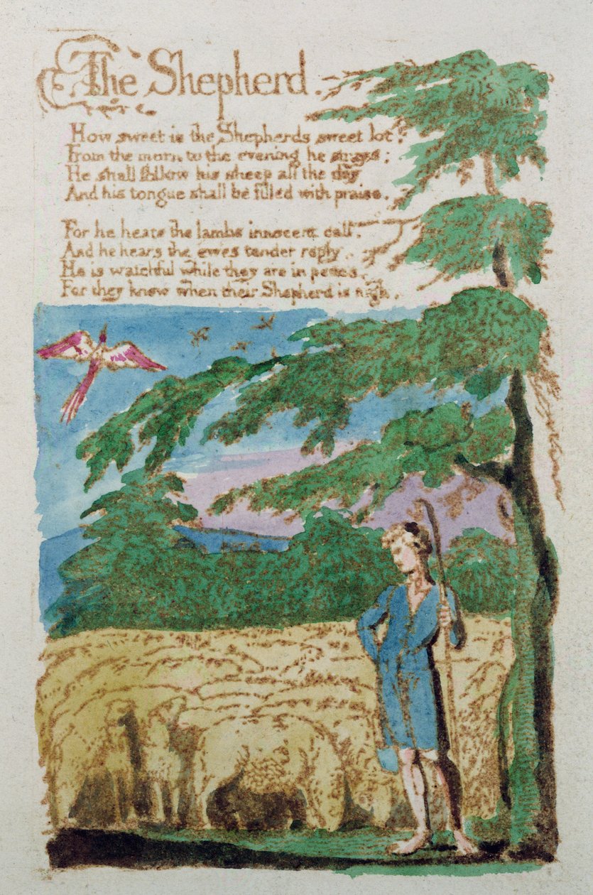 The Shepherd, fra Songs of Innocence, 1789 (farget etsning) av William Blake