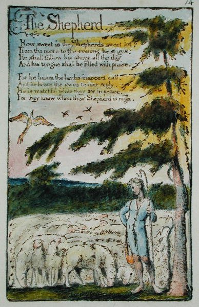 The Shepherd, illustrasjon fra Songs of Innocence and of Experience, (Bentley Copy L) pl.14 (Bentley 5) 1789-94 (relieff-etsing med penn og wc på papir) av William Blake