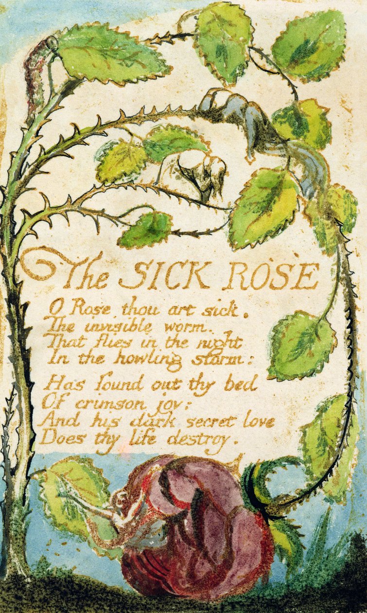 The Sick Rose, fra Songs of Innocence (etsing, blekk og wc) av William Blake