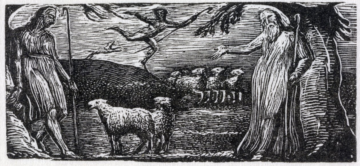 Thenot protesterer med Colinet, Lightfoot in the Distance, illustrasjon fra Dr. Thorntons 