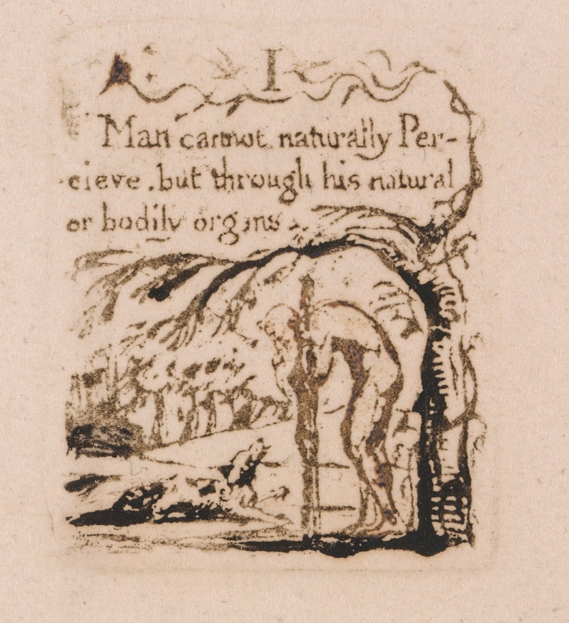 Det er ingen naturlig religion, plate 3, jeg kan ikke naturlig. . . . (Bentley a4) av William Blake