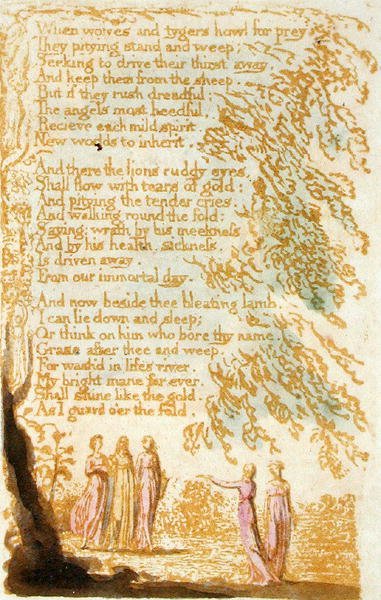 When Wolves and Tygers Howl..., plate 17 fra Songs of Innocence, 1789 (relieff-etsing med wc på papir) av William Blake