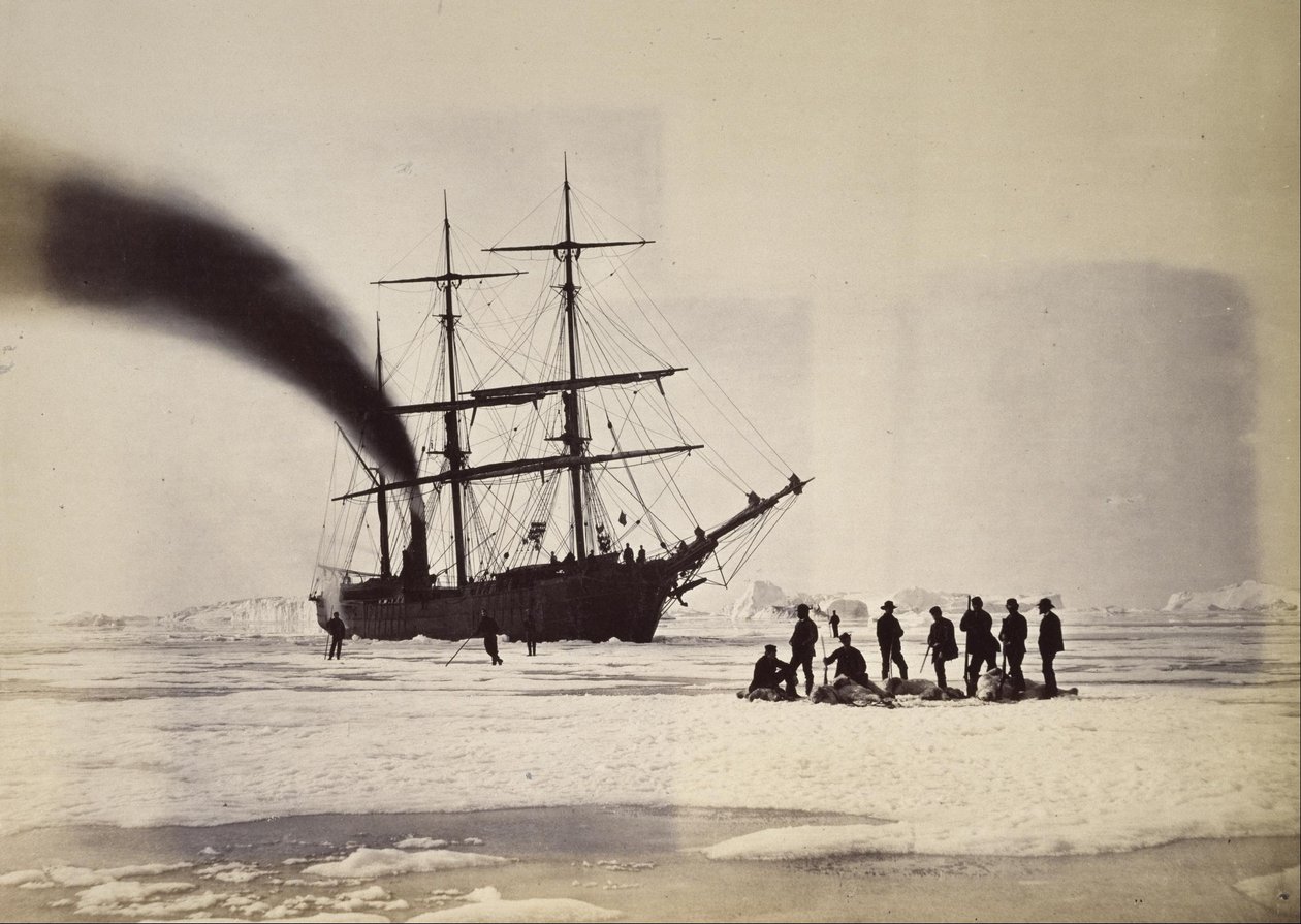 Jakt med damp i Melville Bay av William Bradford