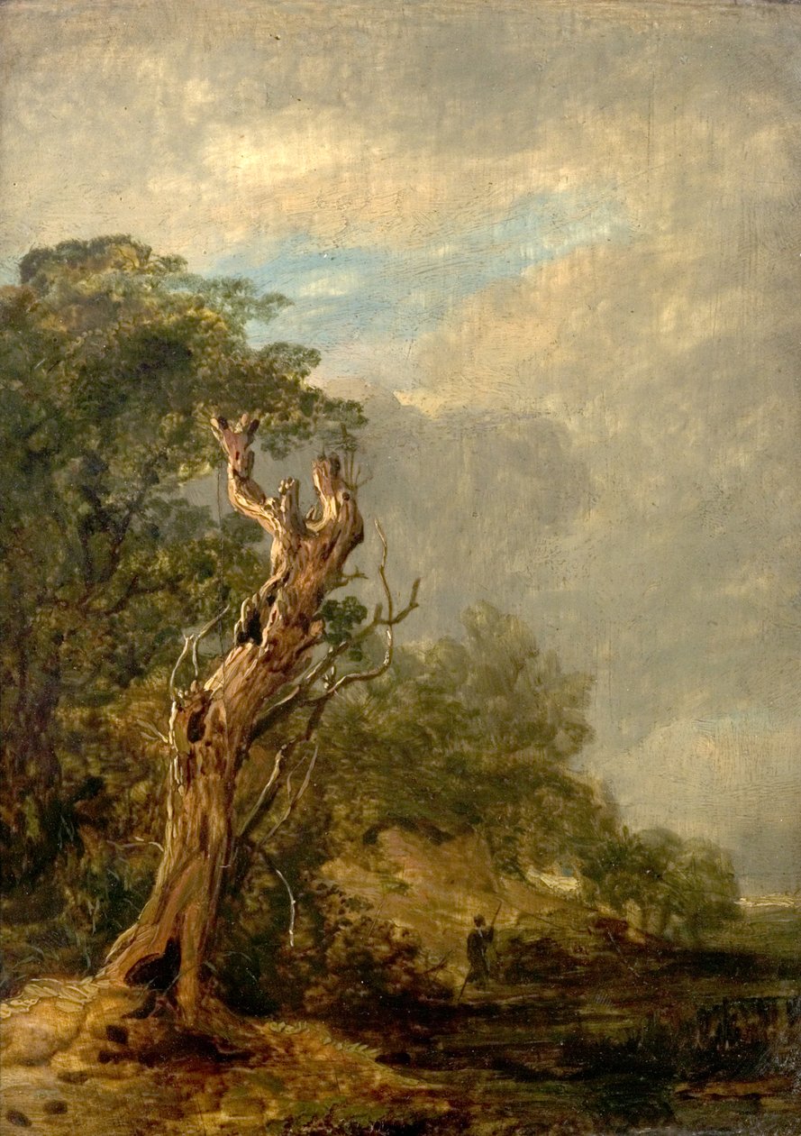 Det visne treet av William Collins