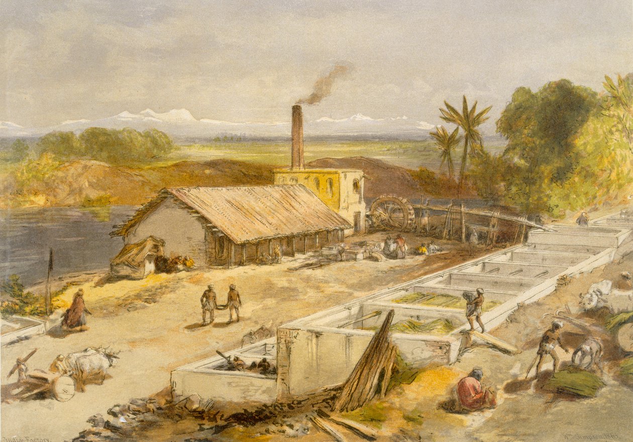 Indigo Factory - Bengal, fra 