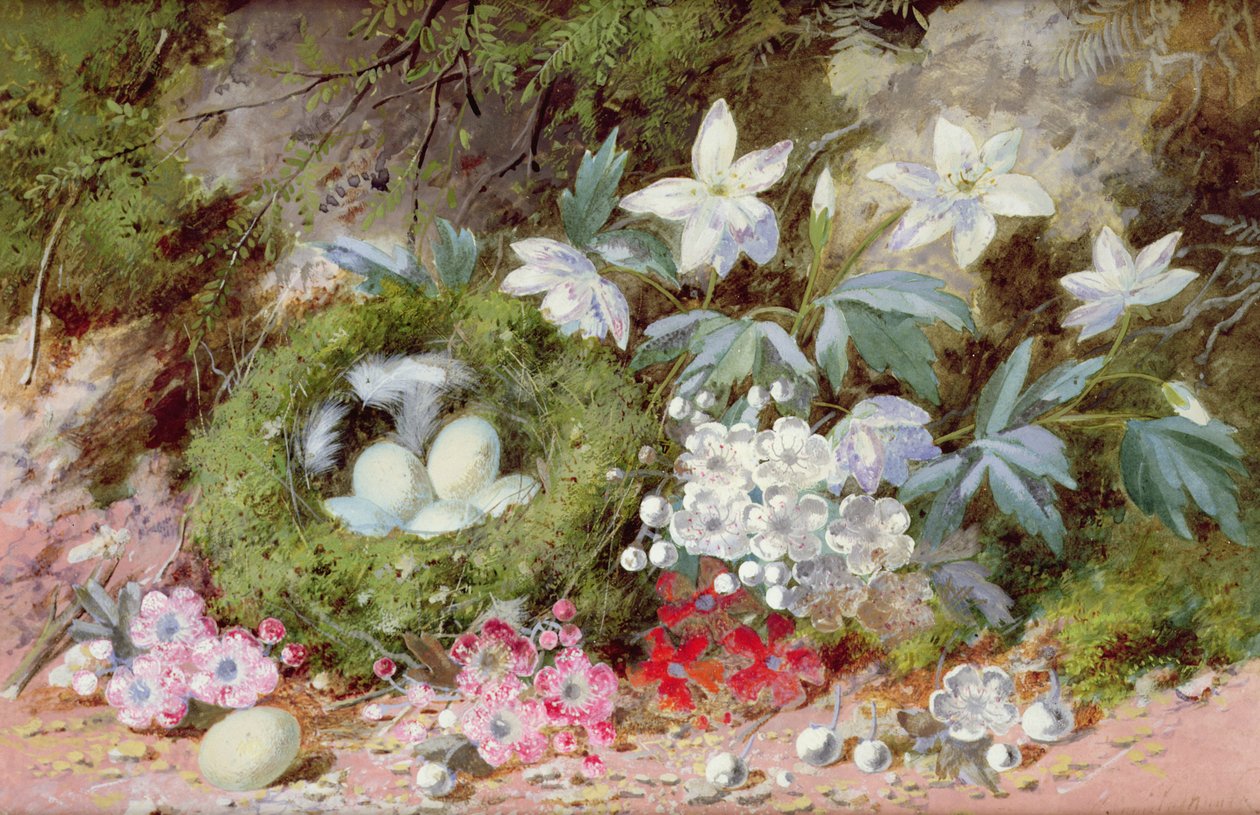 Stilleben med fuglerede av William Cruikshank