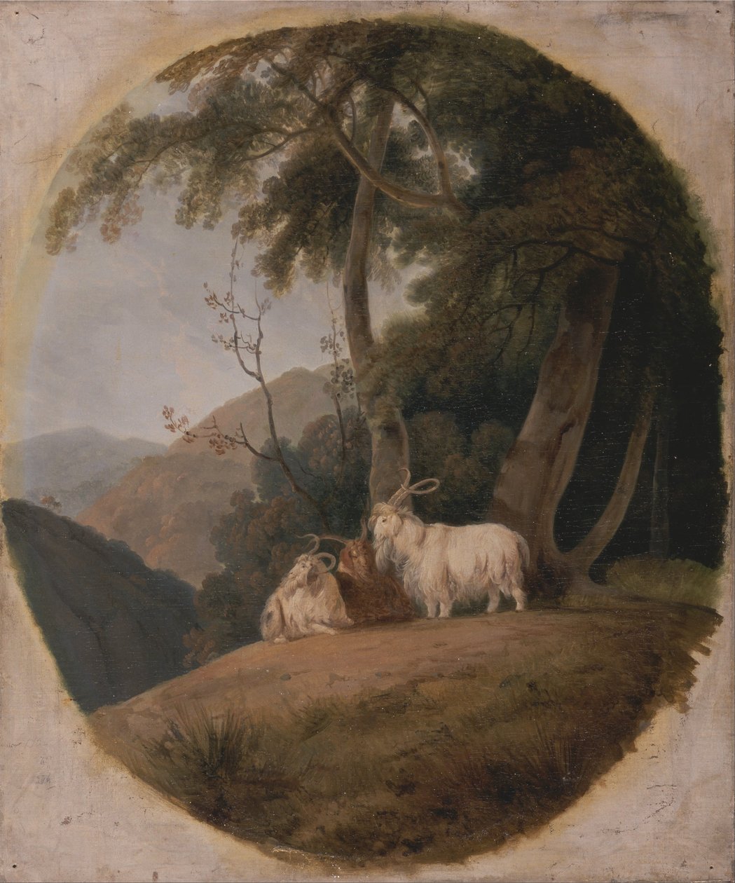 Kashmir geiter av William Daniell