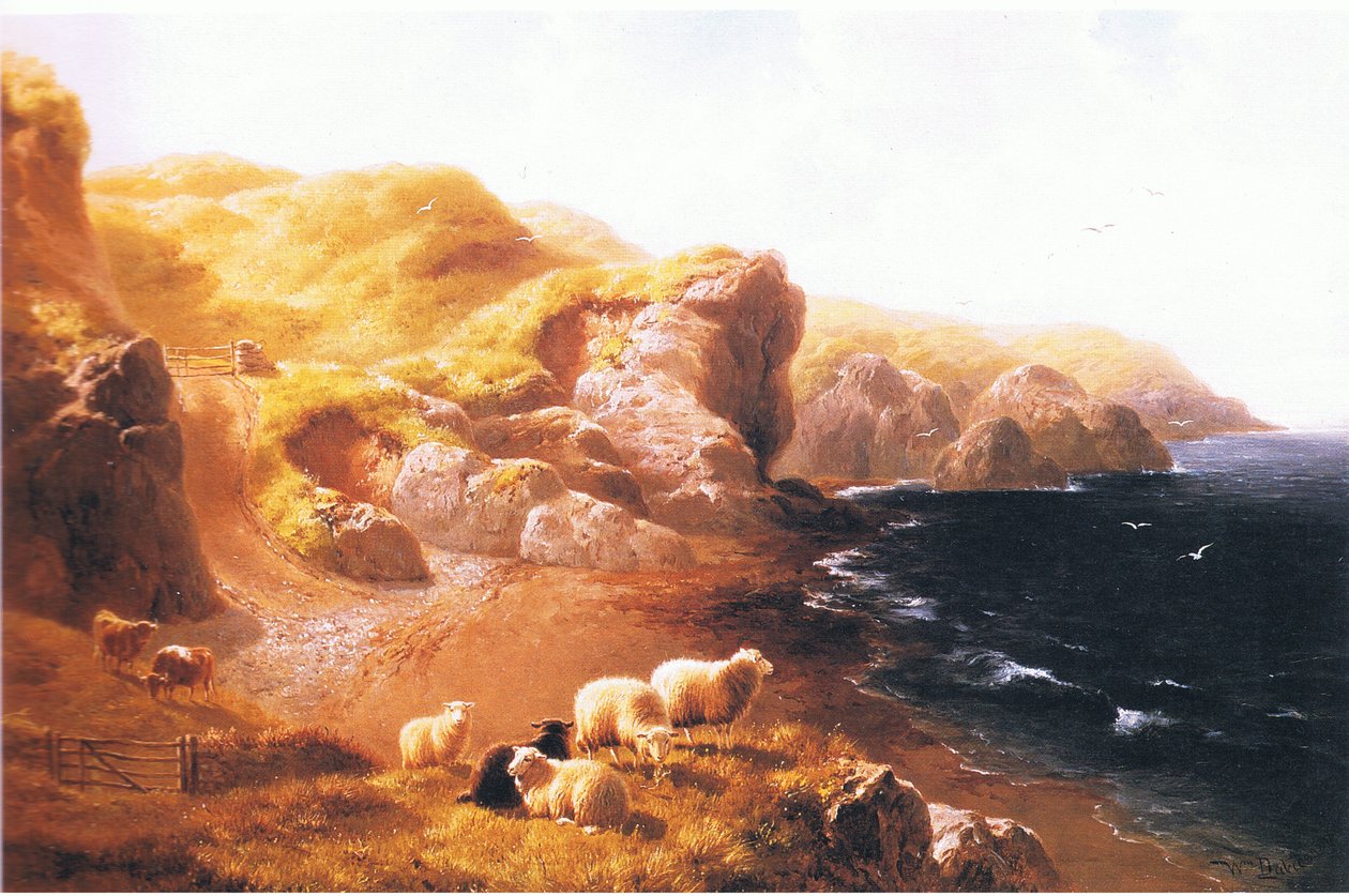 Penliech, Carnarvonshire, fra fra magasin eller bokkilde ukjent av William Davies