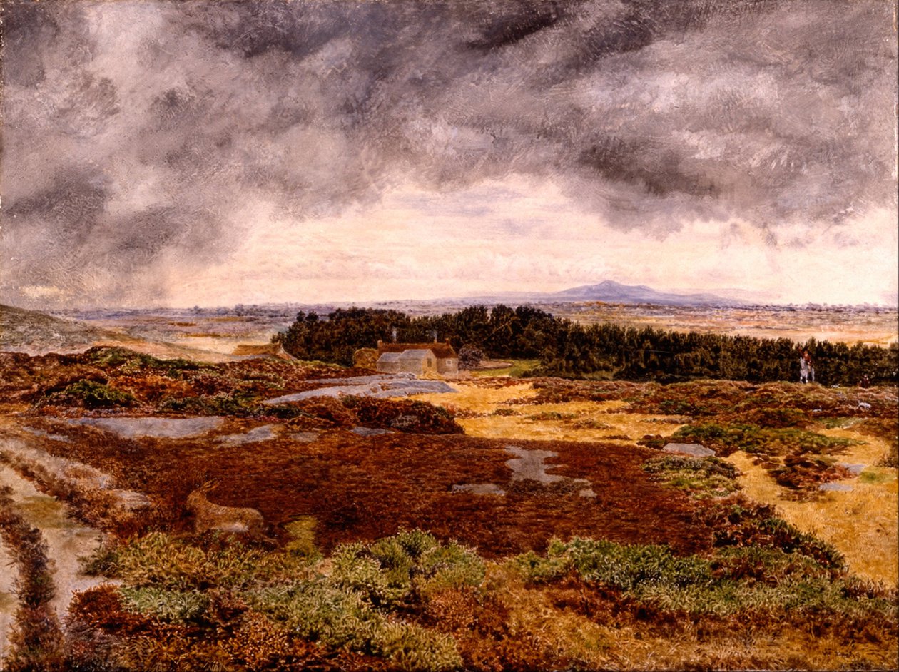 Utsikt fra Bidston Hill av William Davis