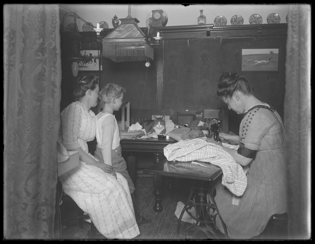 Ethel Gray Magaw Hassler, William Gray Hassler (liten gutt), Harriet E. Hassler (operativ symaskin) og Reddy (katt) i spiseområdet på Vermilyea Avenue 150, leilighet 44, New York City, ca. 19. av William Davis Hassler