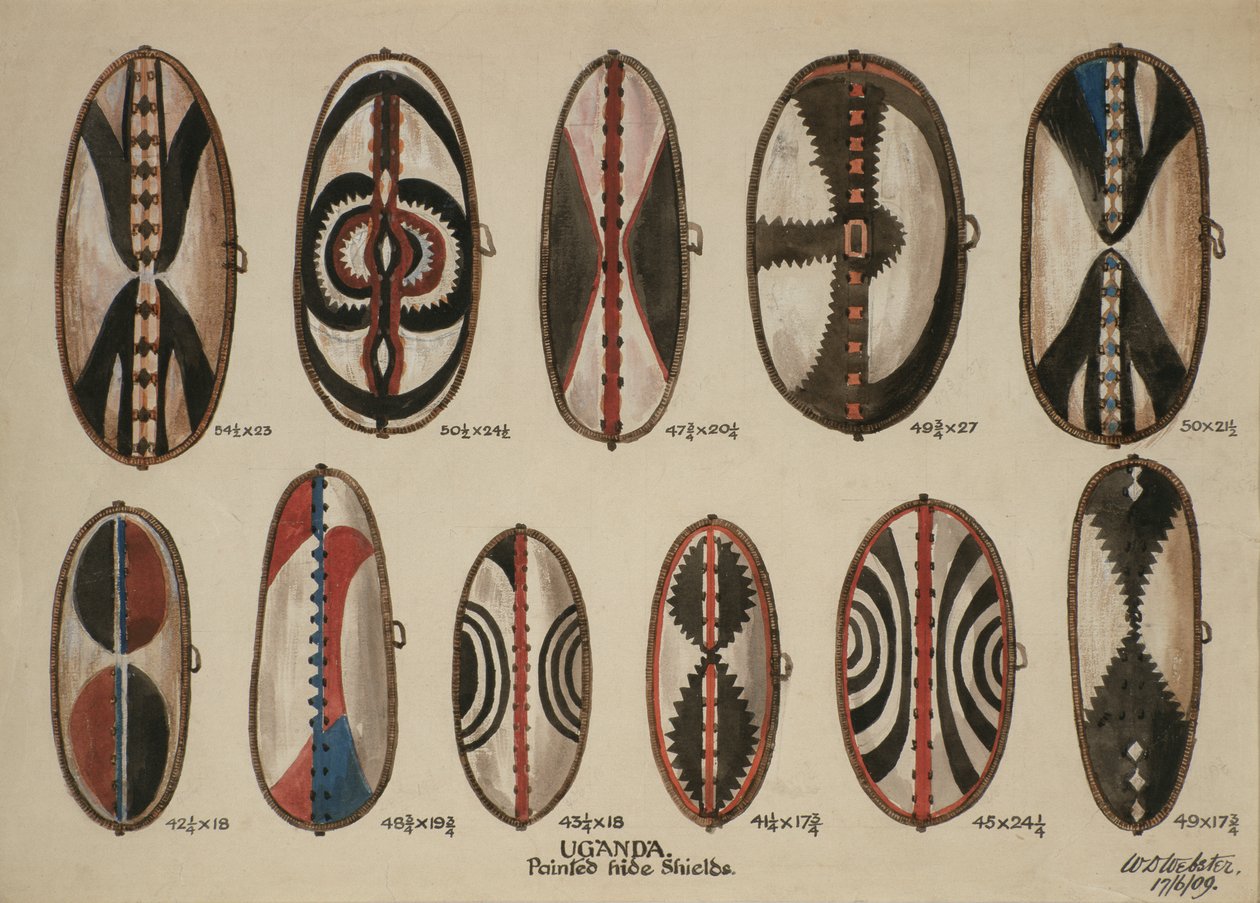 Uganda - Malte hudskjold, 1909 (wc på papir) av William Downing Webster