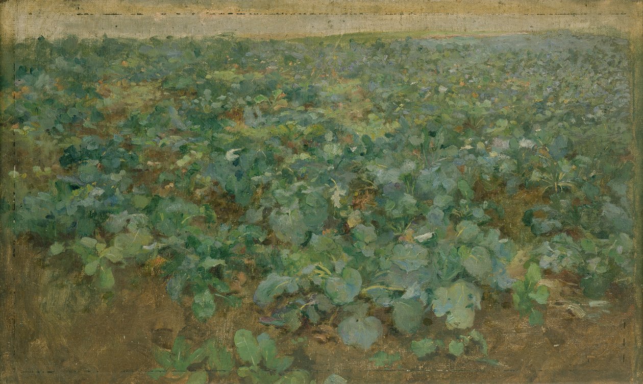 Nepefeltet av William Edward Stott