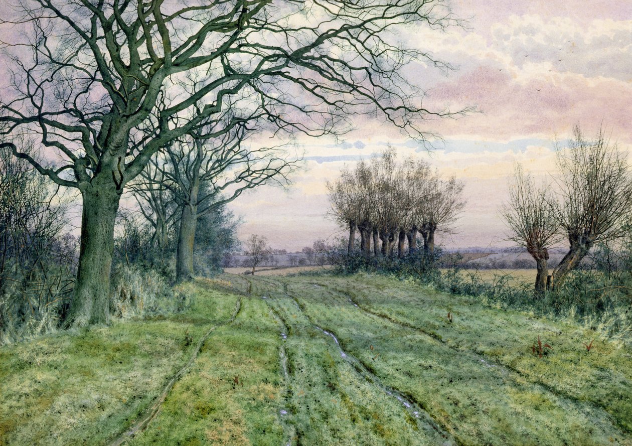 En Fenland Lane med Pollarded Willows, 1887 av William Fraser Garden