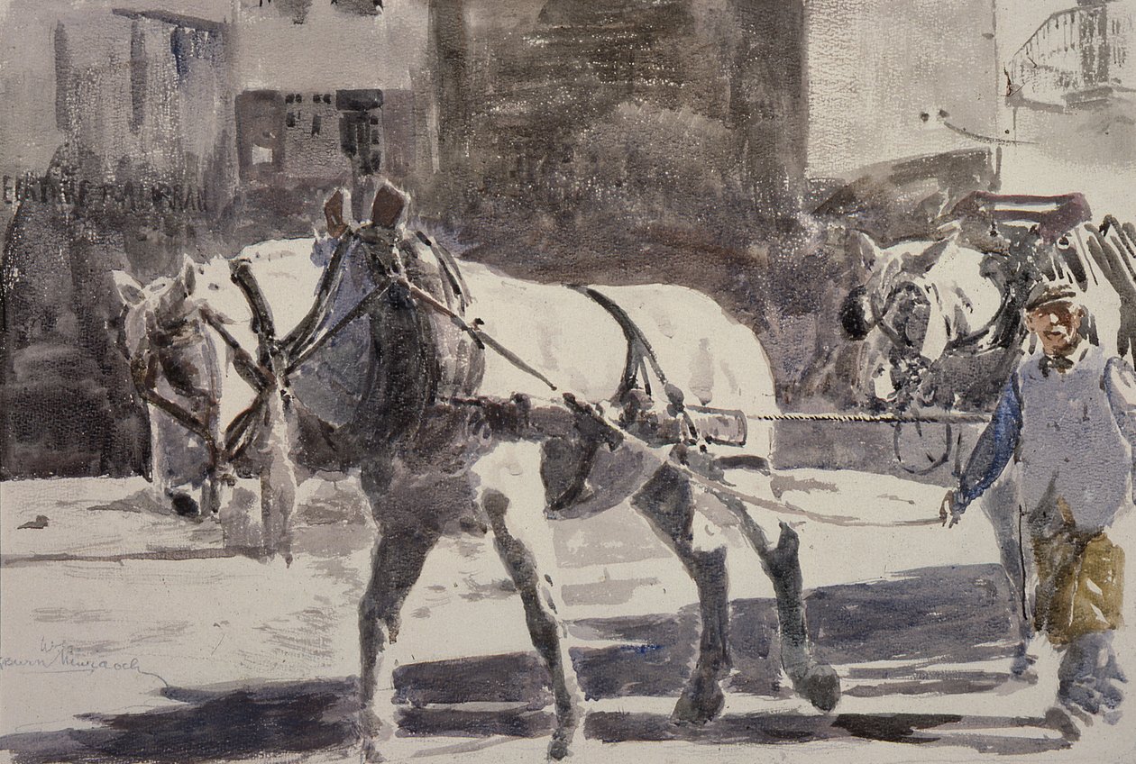 To Percheron-hester av William G. Burn Murdoch