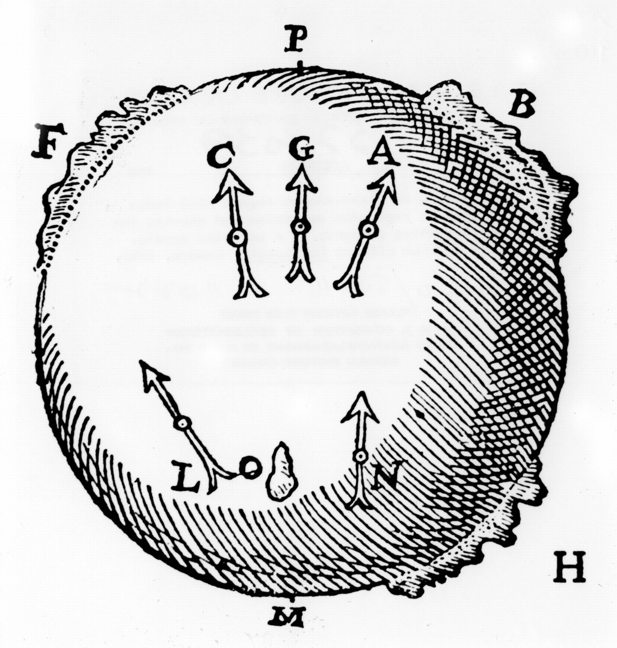 En terrella- eller klodeformet magnet med jernklumper for å representere fjell og som viser den nordsøkende egenskapen til en magnetisk nål. Fra William Gilbert De Magnete, London, 1600 av William Gilbert