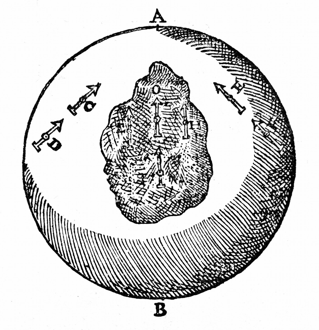 Magnetiske nåler på en terrella vil peke mot nordpolen, A. andre nåler vil gjøre det samme, selv om overflaten på terrellaen er ujevn, som ved O. Fra William Gilbert De Magnete, London av William Gilbert