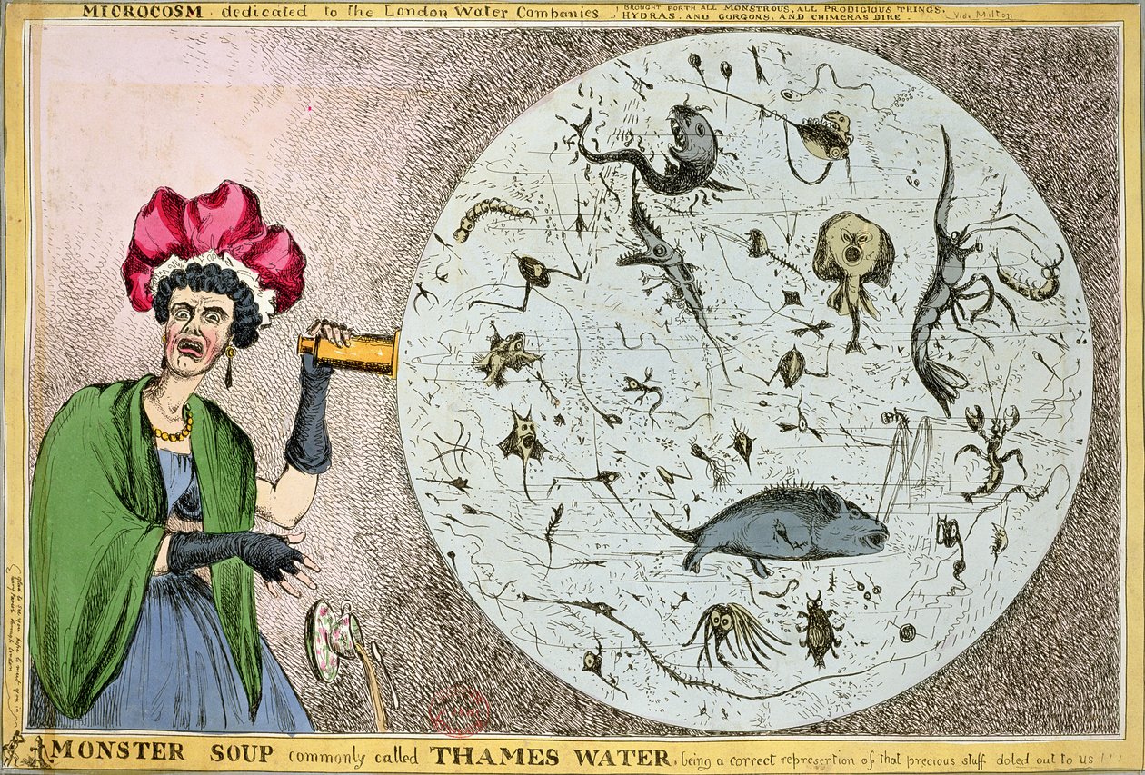 Mikrokosmos dedikert til London Water Companies: Monstersuppe som vanligvis kalles Thames Water, er en korrekt representasjon av de dyrebare tingene som ble delt ut til oss!!!, gravert og publisert i 1828 f. av William Heath
