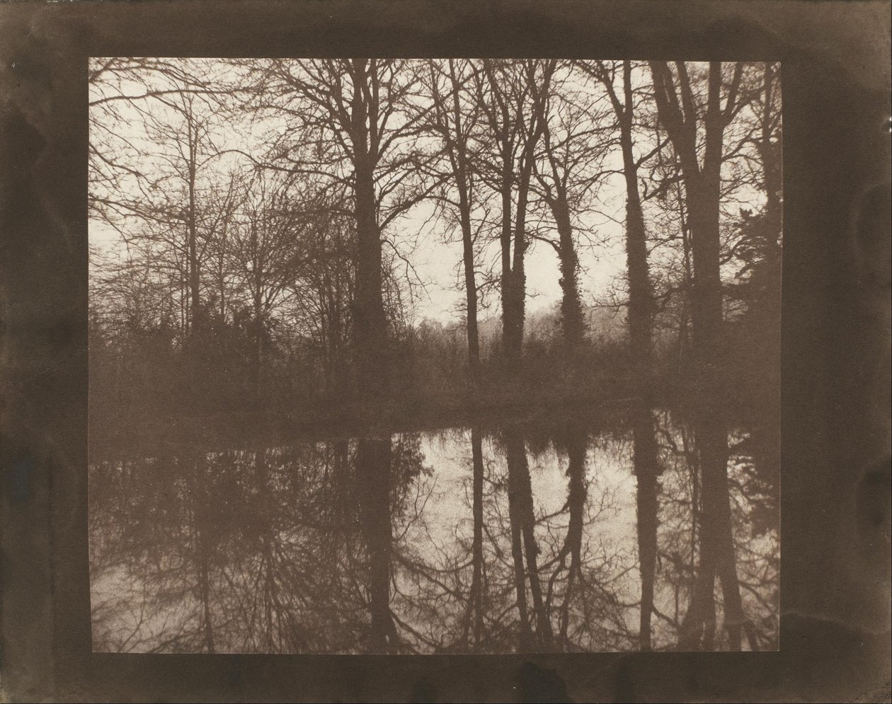 Trær og refleksjoner av William Henry Fox Talbot