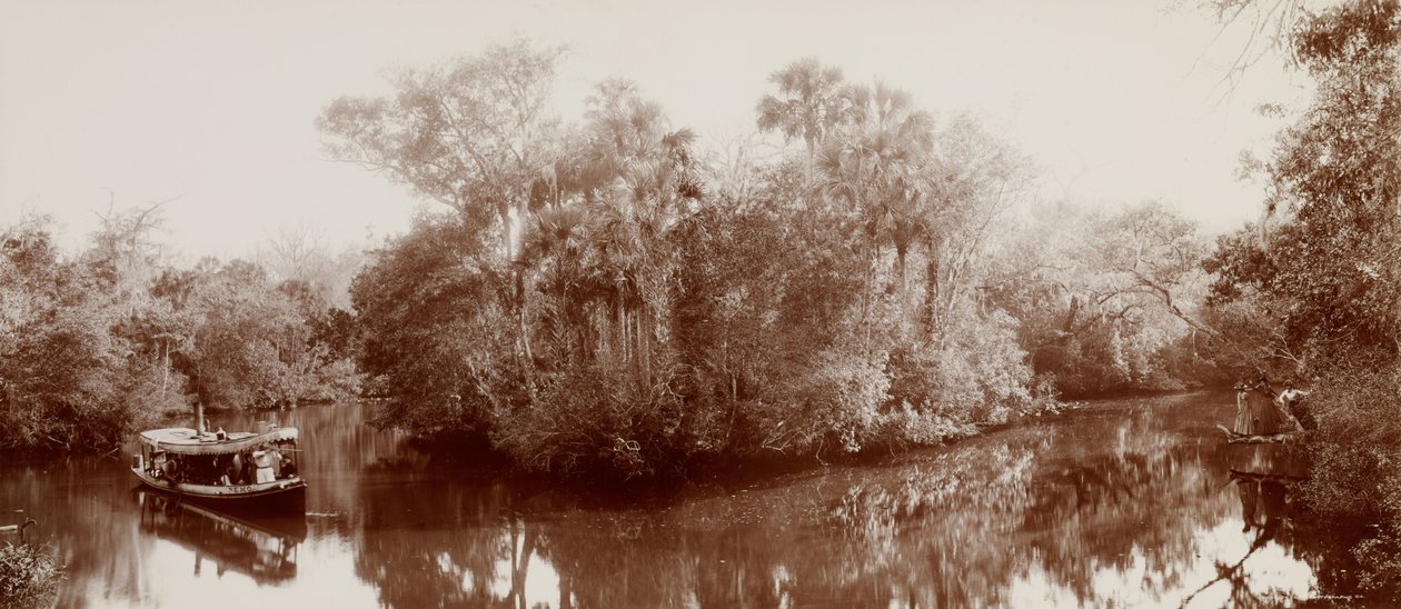 På Tomoka nær Ormond, Florida av William Henry Jackson