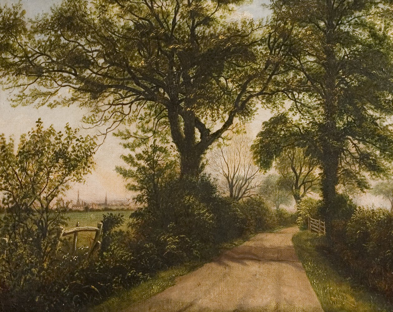 Fjernsyn over Coventry, sent på 1800-tallet av William Howard Reeve
