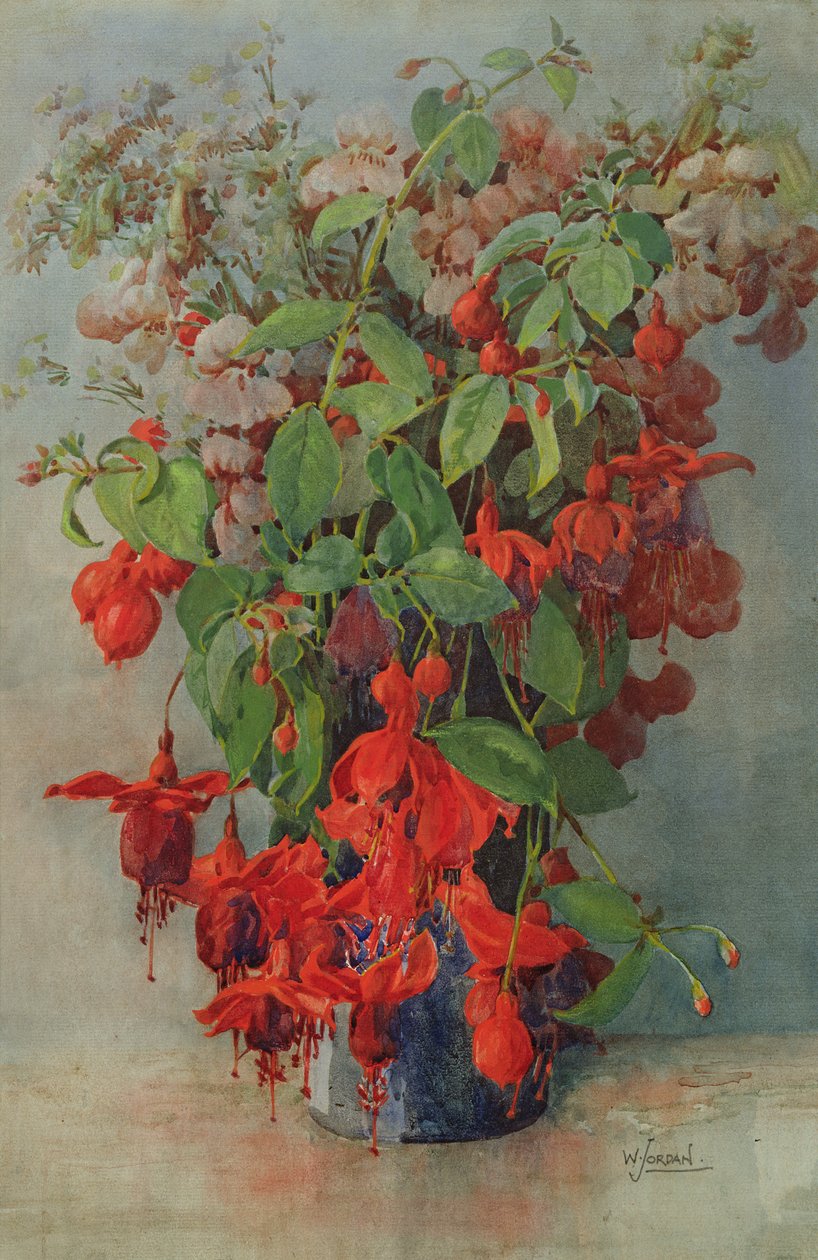 Fushia og Snapdragon i en vase (blyant og wc) av William Jordan