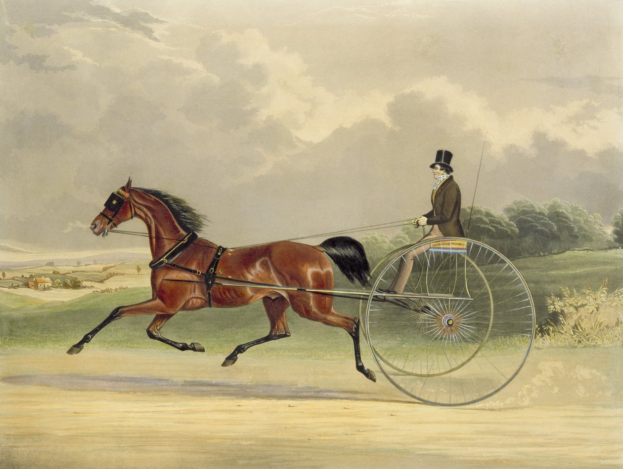Lord William, gravert av J.R. Macrell (fl.1845), 1845 (fargegravering) av William Joseph Shayer