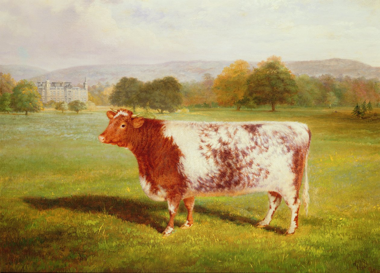 Portrett av et korthorn, 1800-tallet av William Joseph Shayer