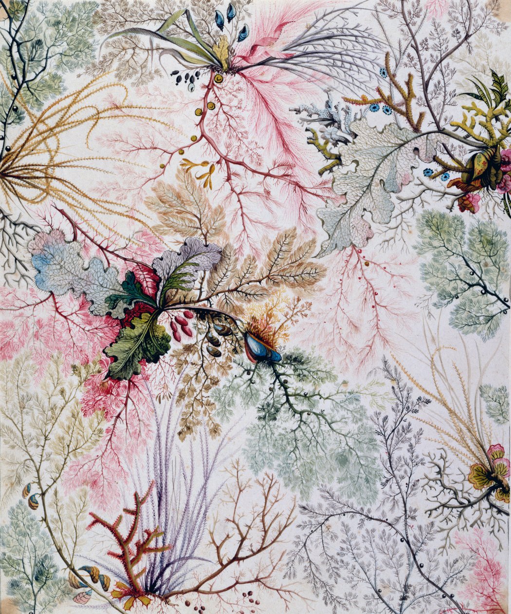 Tekstildesign, c.1788-92 av William Kilburn