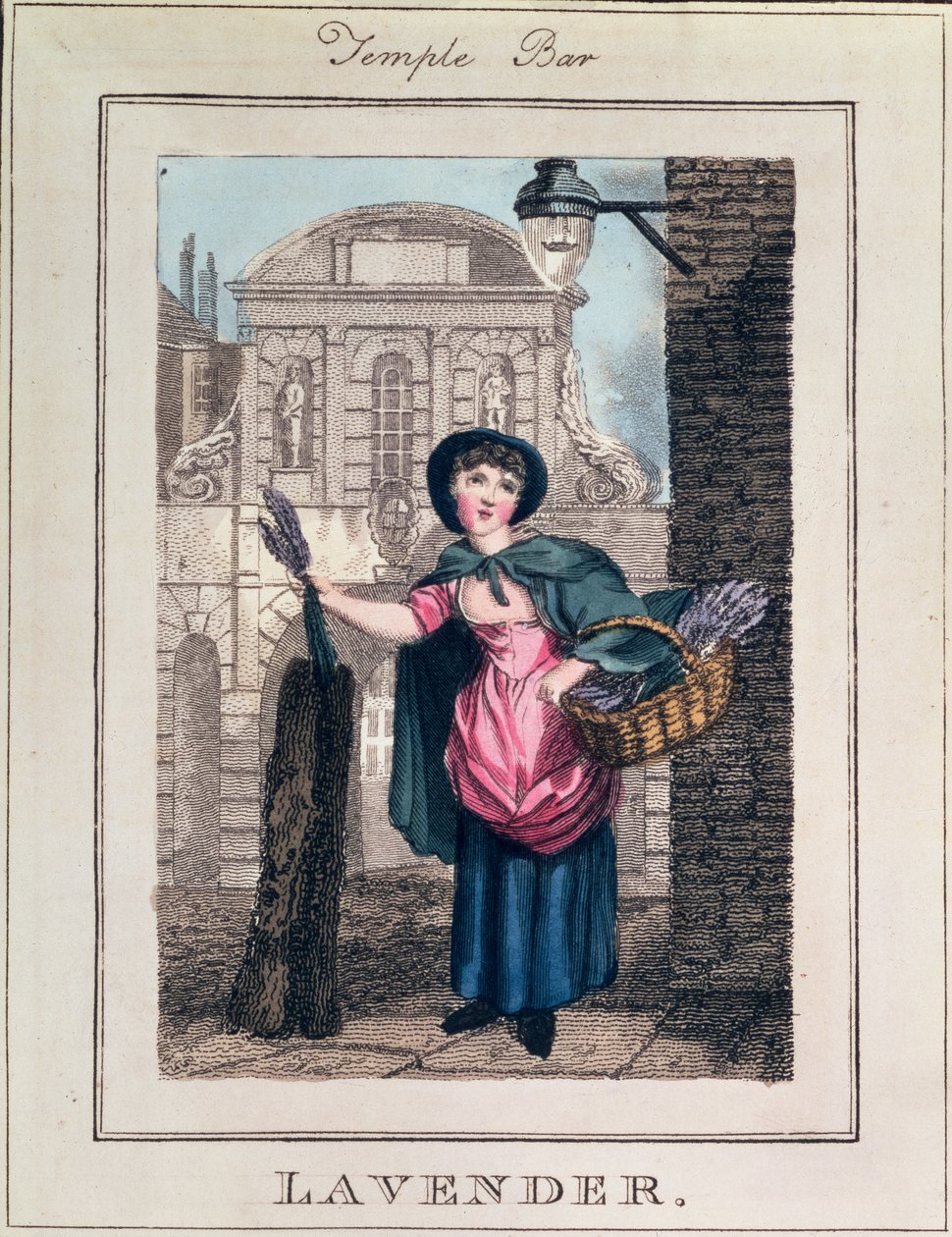 Lavender, Temple Bar, fra "Cries of London", pub. av Richard Phillips (1778-1851) 1804 av William Marshall Craig