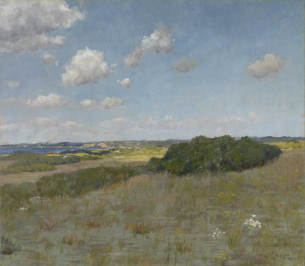 Sollys og skygge, Shinnecock Hills av William Merritt Chase