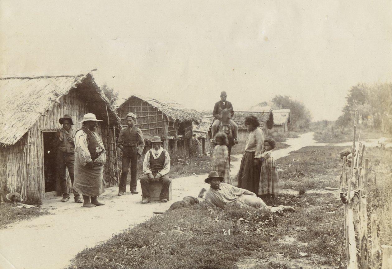Kaiwhaiki pa, Upokongaro, ca. 1895 (sølv gelatintrykk) av William Partington