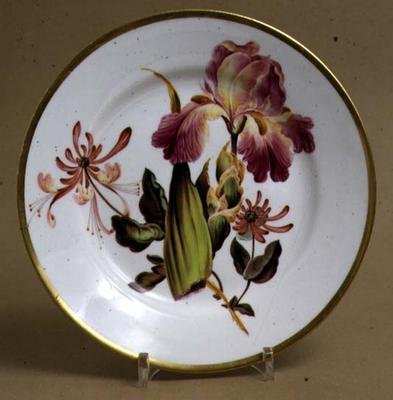 Derby desserttallerken dekorert med iris og kaprifol, ca. 1795 (porselen) av William Quaker attributed to Pegg
