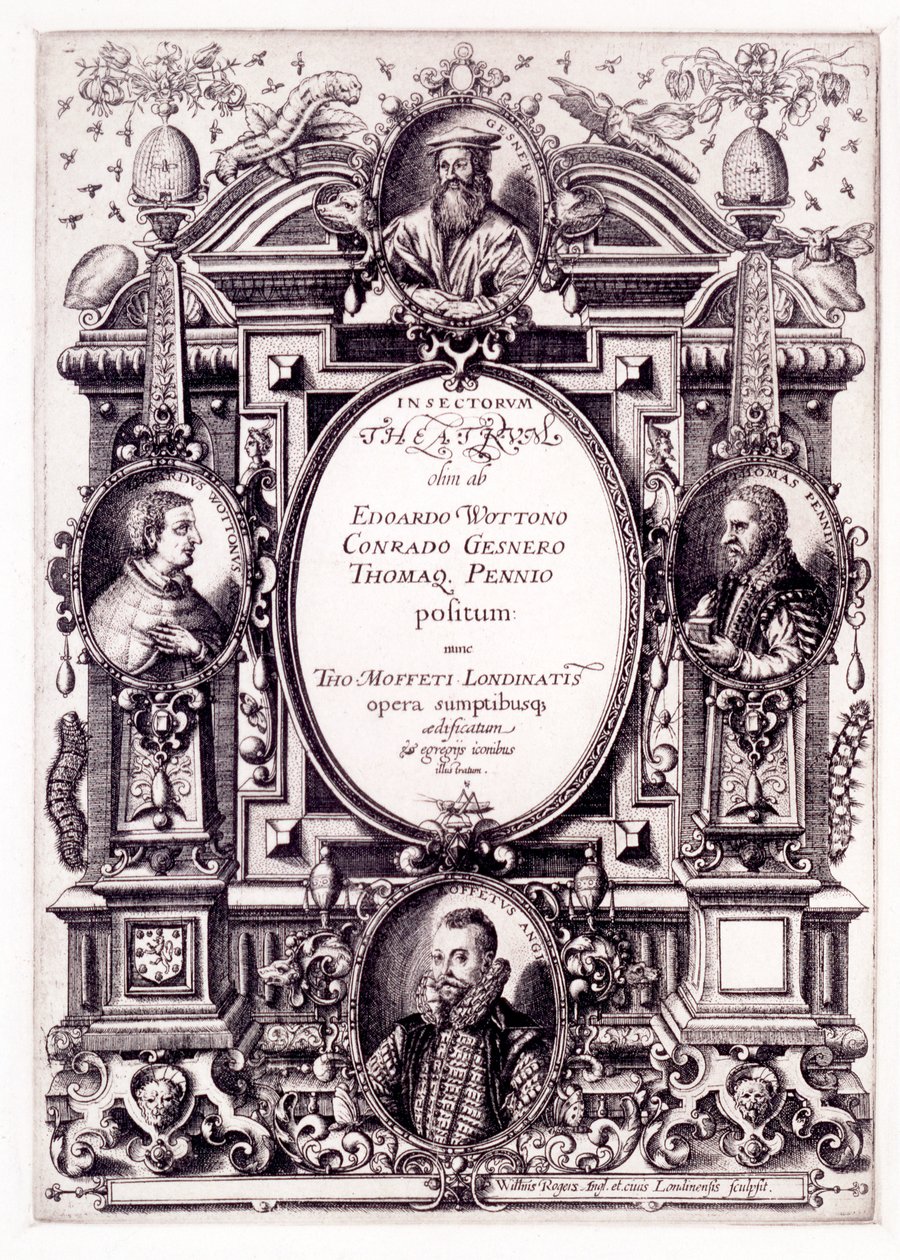 Tittelside til Tabletop Theatre of Insects, slutten av 1590-tallet av William Rogers