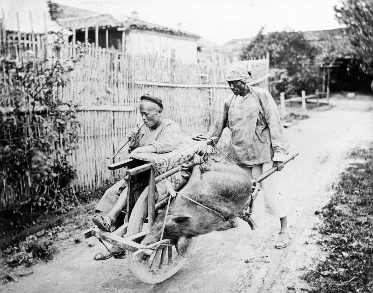 En Shanghai Cab, ca. 1875 av William Saunders