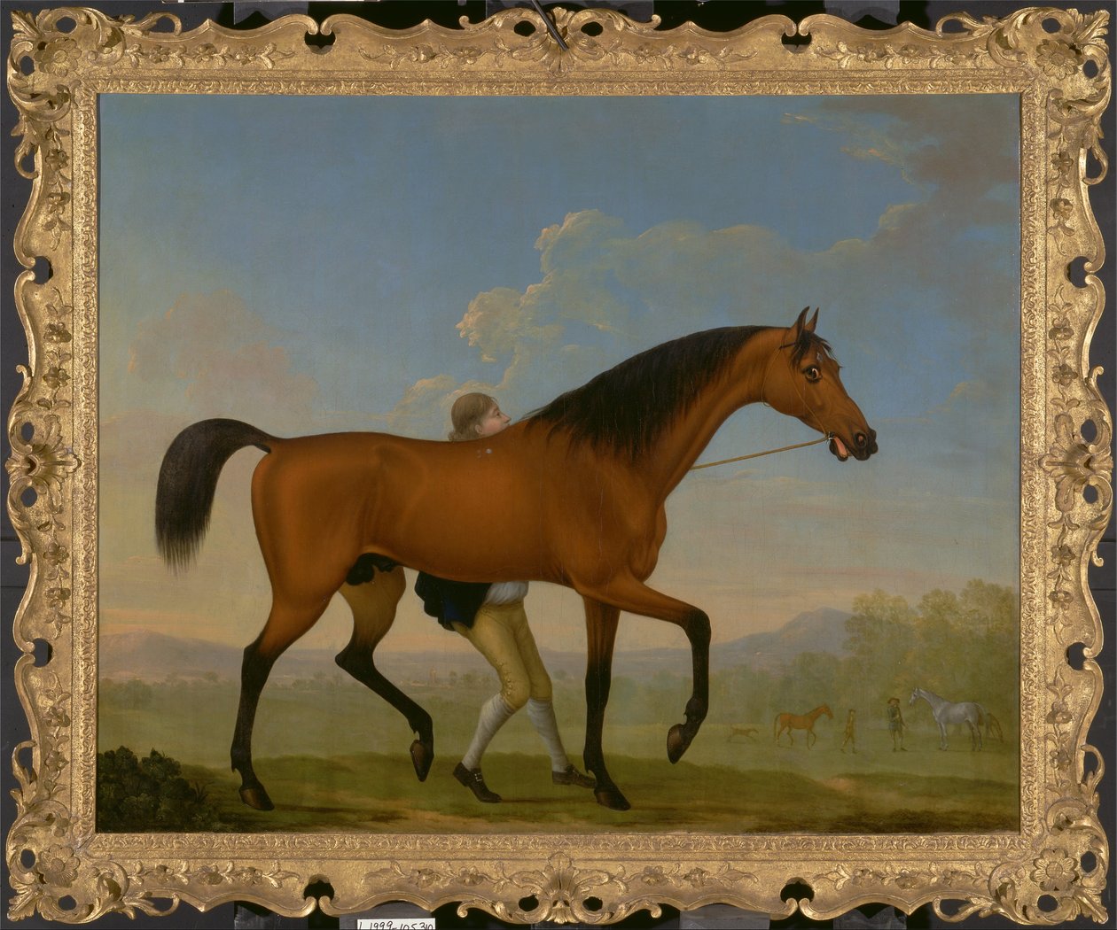 Hertugen av Ancasters Bay hingst, blank, går mot en hoppe av William Shaw