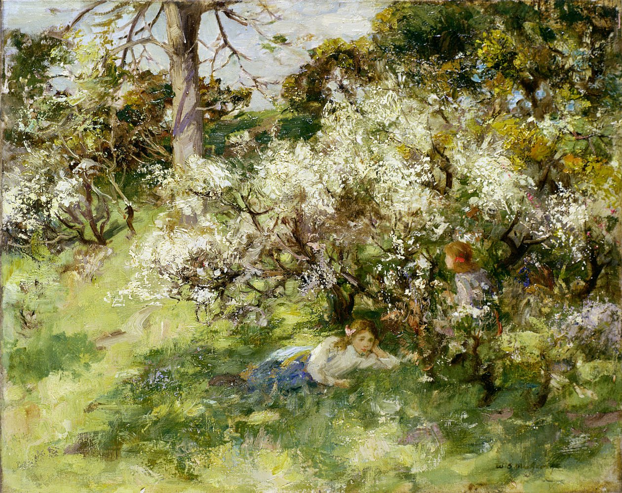Sloe Blossom av William Stewart MacGeorge