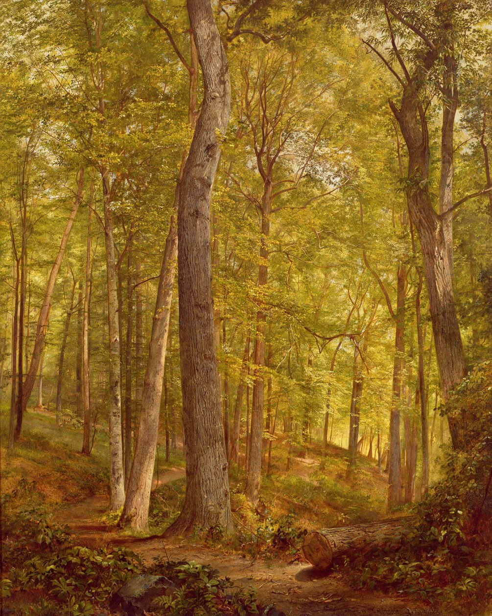 June Woods, Pennsylvania, 1864 av William Trost Richards