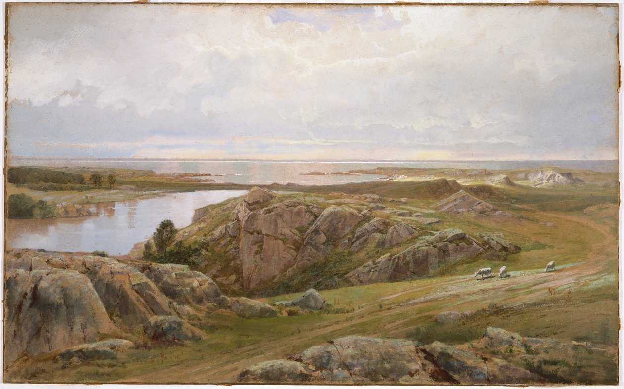 Lily Pond, Newport, 1877 (wc på papir) av William Trost Richards