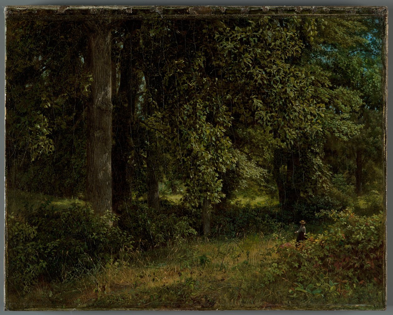 Tulipantrær, 1859 av William Trost Richards