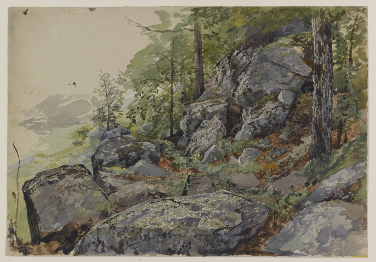 Woodland Boulders, ca. 1877-78 (wc over grafitt på teksturert vevd papir) av William Trost Richards