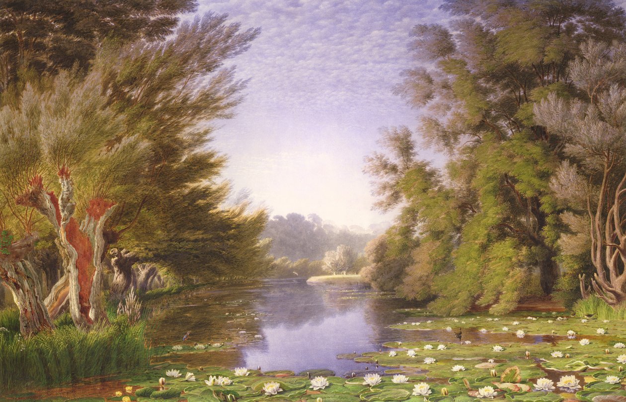 Vannliljer på Cherwell av Joseph Mallord William Turner
