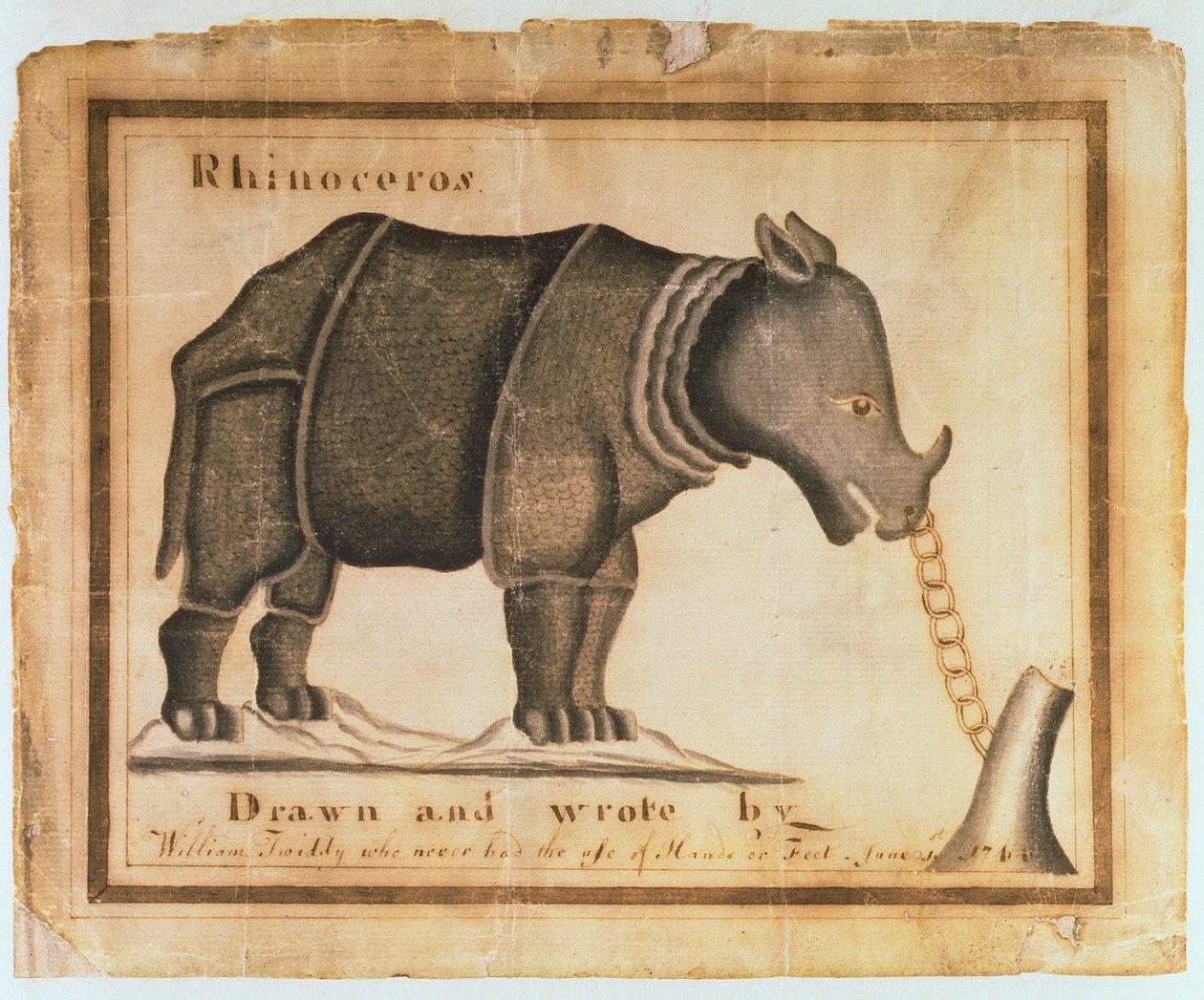 Neshorn, tegnet og skrevet av William Twiddy som aldri hadde bruk for hender eller føtter, 1. juni 1744 (wc på papir) av William Twiddy